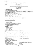 Thiết kế bài dạy các môn lớp 1 - Tuần lễ 4