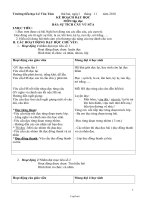 Thiết kế bài dạy lớp 2 - Tuần 12 - Trường tiểu học Lê Văn Tám