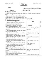 Giáo án Tổng hợp các môn khối 1 - Phạm Thị Hiển - Tuần 36