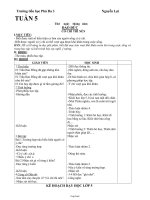 Giáo án môn học lớp 5 - Trường tiểu học Phú Đa 3 - Tuần 5