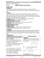 Giáo án Hình học 8 - Tiết 29: Diện tích tam giác - Năm học 2010-2011 - Nguyễn Anh Tuân