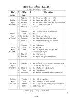 Giáo án Tổng hợp môn học lớp 2 - Tuần số 13 năm 2007