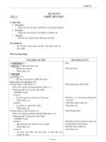 Giáo án Kể chuyện tiết 5: Chiếc bút mực