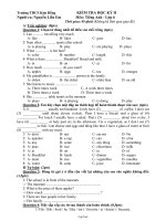 Kiểm tra học kỳ II môn: Anh văn 6 - Đề 1