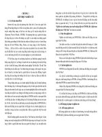 Nghiên cứu ảnh hưởng của truyền miệng điện tử (EWOM) đến ý định mua bất động sản ở việt nam TT 