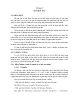 Giáo trình Đất trồng trọt: Phần 2 - PGS.TS. Nguyễn Thế Đặng