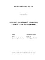 Phát triển sản xuất chuối trên đất bãi tại huyện gia lâm, thành phố hà nội   