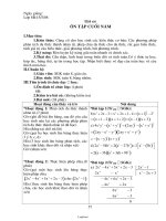 Giáo án môn học Đại số 8 tiết 68: Ôn tập cuối năm