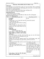 Giáo án Khoa học 4 - Tuần 31 - Hoàng Hữu Vinh