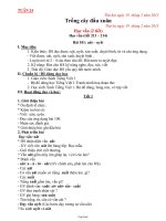 Thiết kế bài dạy lớp 1 - Tuần thứ 24 năm 2013