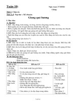 Giáo án Lớp 3 Tuần 10 - GV: Trần Ngọc Thiêm