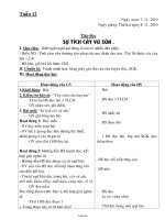 Kế hoạch bài dạy lớp 2 - Tuần dạy 12 (chi tiết)