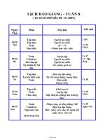 Giáo án môn học lớp 2 - Tuần số 8 (chi tiết)