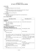 Giáo án Luyện từ và câu 2 tuần 14: Từ ngữ về tình cảm gia đình