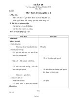 Giáo án Lớp 3 - Tuần 25 - Năm học 2009-2010 (Theo chuẩn ngắn)