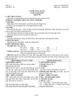 Giáo án Ngữ văn Lớp 9 - Tiết 28: Cảnh ngày xuân (Trích Truyện Kiều) của Nguyễn Du - Năm học 2011-2012