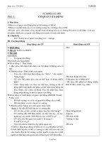 Kế hoạch bài dạy khối 3 - Tuần 1