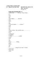 Kiểm tra học kỳ II môn: Anh văn 6 - Đề 3