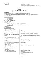 Giáo án dạy Lớp 3 tuần 29 - Chiều