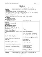 Thiết kế bài học khối 2 - Tuần số 21