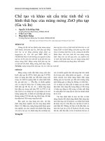 Chế tạo và khảo sát cấu trúc tinh thể và hình thái học của màng mỏng ZnO pha tạp (Ga và In)