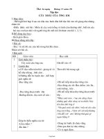 Giáo án môn Tập đọc lớp 3 - Tiết 49: Cây xoài của ông em