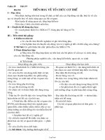 Giáo án Sinh học lớp 7 tiết 57: Tiến hoá về tổ chức cơ thể