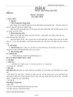 Giáo án các môn khối 3 - Tuần 33 - Trường tiểu học Gio Quang