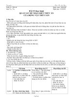 Giáo án môn Công nghệ 7 tiết 46: Thực hành quan sát để nhận biết thức ăn của động vật thủy sản