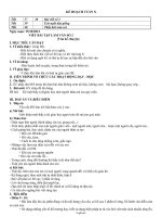 Giáo án Ngữ văn 6 - Tuần 10 (Bản đẹp) - Năm học 2012-2013