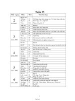 Giáo án môn học lớp 4 - Tuần thứ 25