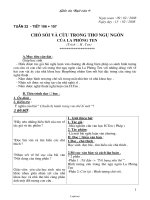 Giáo án Ngữ văn 9 - Tuần 22 - Tiết 106 đến 110