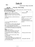 Giáo án môn Thủ công lớp 3 - Tiết 17: Gấp, cắt, dán biển báo giao thông cấm đỗ xe (tiết 1)