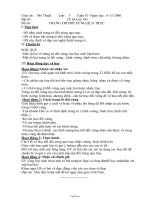 Giáo án Mĩ thuật 5 bài 10: Trang trí đối xứng qua trục