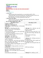 Giáo án Lớp 3 - Luyện từ và câu - Tuần 19: Nhân hóa: Ôn cách đặt và trả lời câu hỏi khi nào