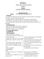 Giáo án tổng hợp lớp 3 - Tuần 9 năm học 2011