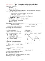 Giáo án Hình học 8 - Tiết 42, Bài 5: Trường hợp đồng dạng thứ nhất - Năm học 2004-2005