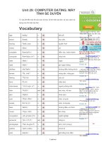 Giáo án English 6 - Unit 29: Computer dating