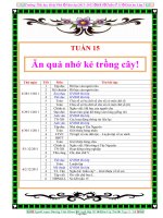 Giáo án Tin học 7 tiết 13 đến 18