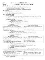 Giáo án Sinh học lớp 7 tiết 21: Thực hành quan sát một số thân mềm