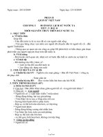 Giáo án Lịch sử 6 tuần 8: Thời nguyên thuỷ trên đất nước ta