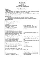 Thiết kế bài dạy lớp 1 - Tuần 31 - Văn Thị Hiền Trang