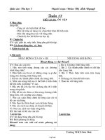 Giáo án Tin học 7 tuần 17 tiết 33+34: Ôn tập