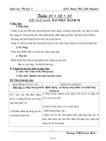 Giáo án Tin học 7 tuần 31 + 32 + 33 tiết 62-63-64-65: Bài thực hành 10