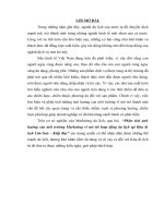 Phân tích ảnh hưởng của môi trường Marketing vĩ mô tới hoạt động du lịch tại Khu di tích Côn Sơn – Kiếp Bạc