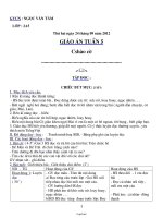 Giáo án Ngữ văn 6 - Tiết 113+114 - Mai Anh Hoa - Năm 2006-2007