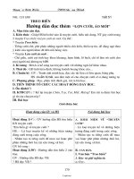 Giáo án môn Ngữ văn 6 - Tiết học 51: Treo biển hướng dẫn đọc thêm “lợn cưới, áo mới”