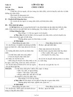 Giáo án Sinh học lớp 7 tiết 27: Châu chấu