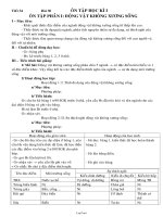 Giáo án Sinh học lớp 7 tiết 34: Ôn tập học kì I ôn tập phần I: động vật không xương sống