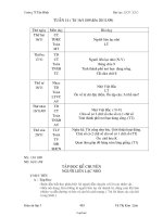 Giáo án các môn học khối lớp 2 - Tuần lễ 14 - Trường TH Tân Bình
